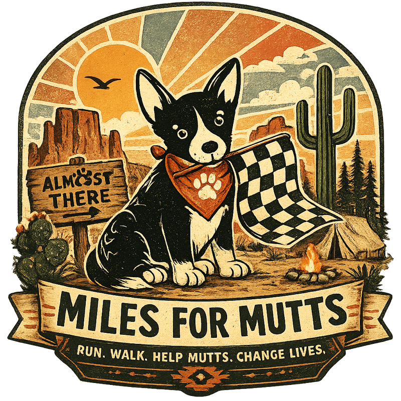 Miles for Mutts: Summer Camp